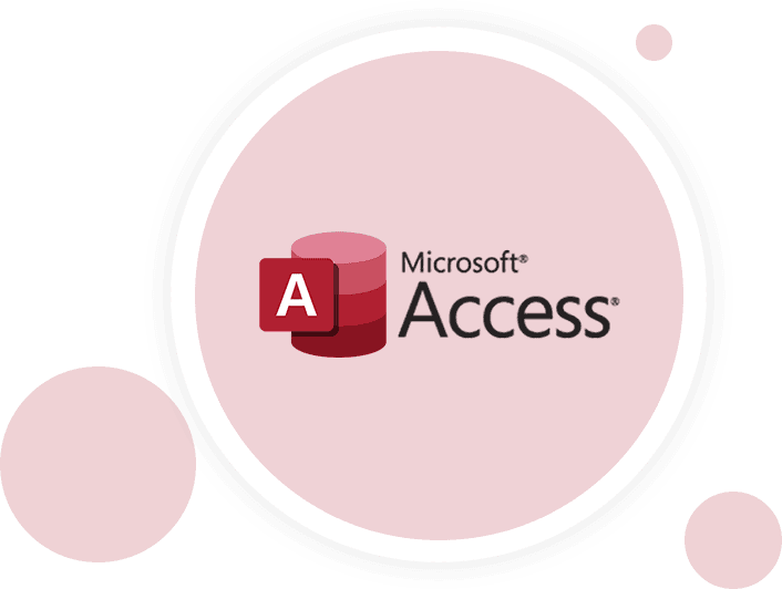 A custom Microsoft Access database solution built by YittBox